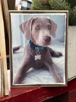 CYBER MONDAY FREE MEDIUM PHOTO BLOCK W/$100 PURCHASE